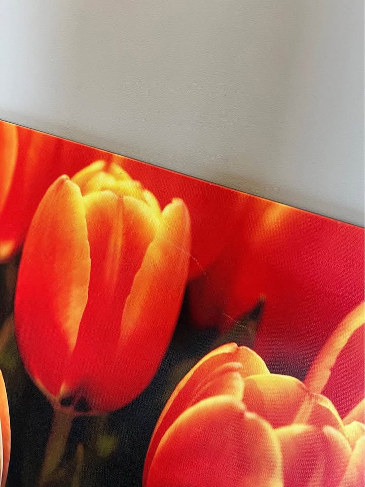 Floral Wall Art - photo 2