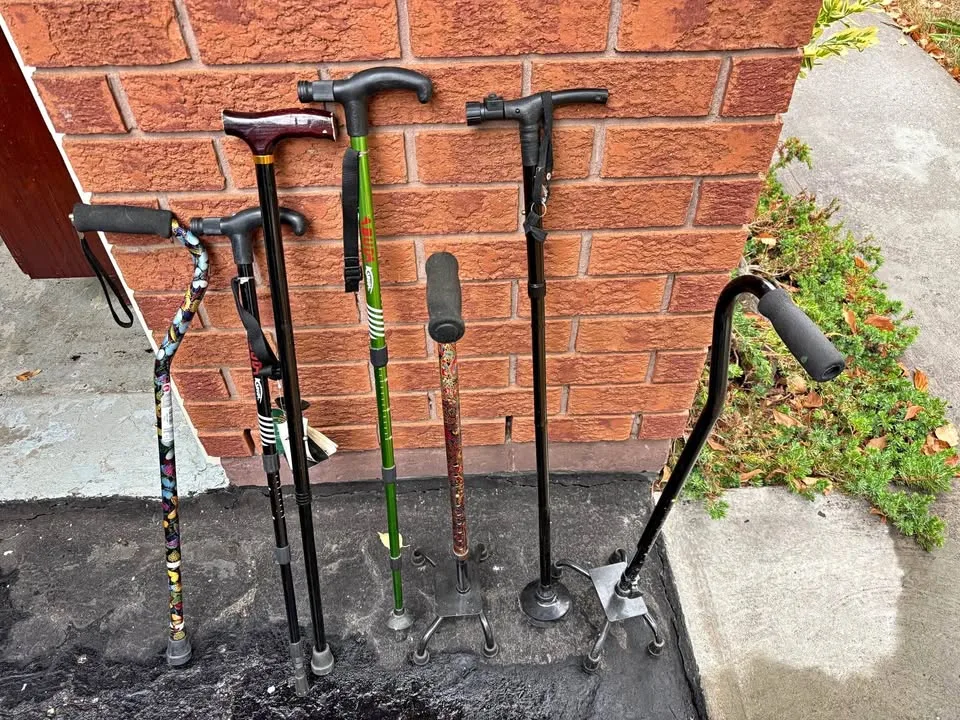Walking Sticks thumbnail