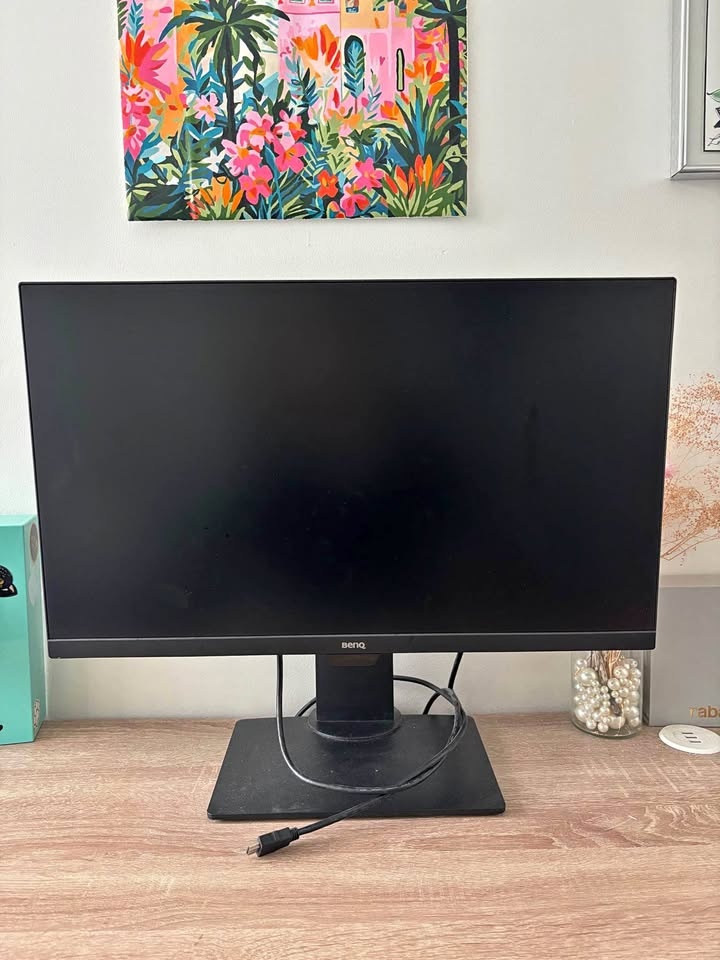 BenQ Computer Monitor 24in