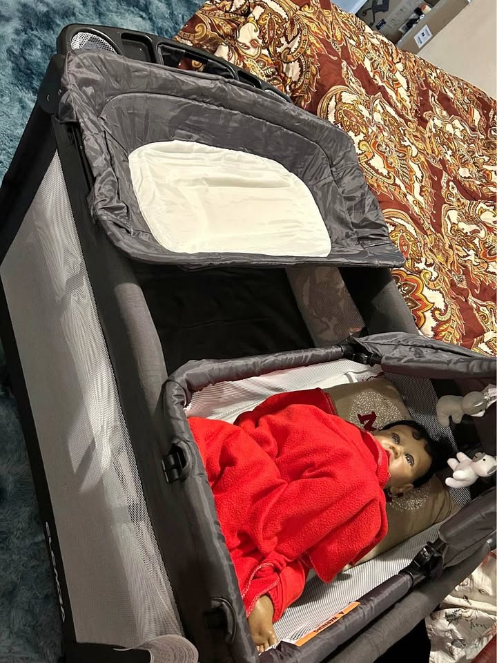 ELEMRA 5-in-1 Baby Bassinet/Crib & Playpen System with changing