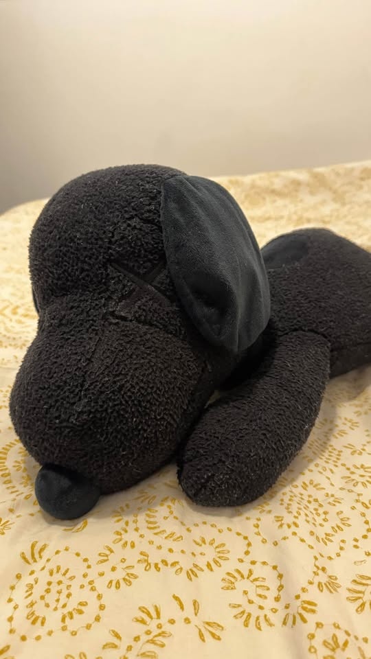 KAWS x Uniqlo x Peanuts Snoopy Plush (Medium) - photo 2
