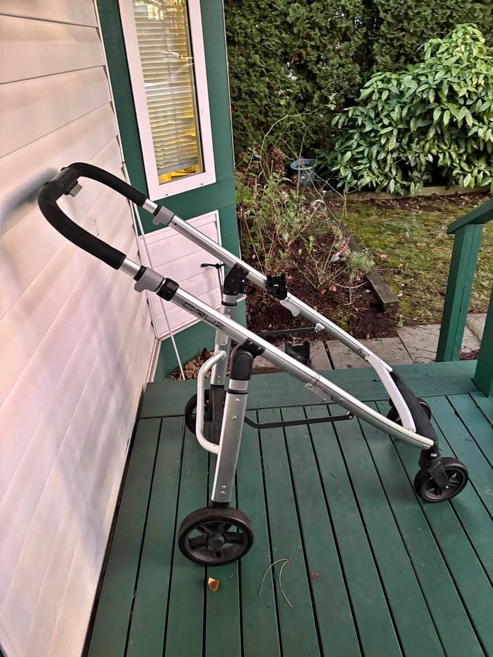 Uppababy Cruz Stroller Frame
