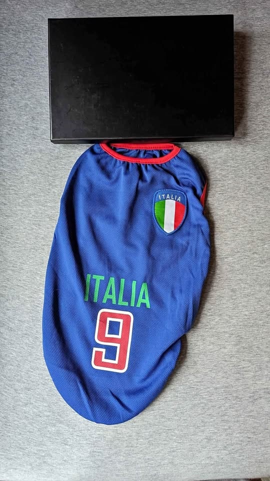 Italian Soccer Jersey for Small Dog