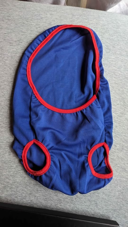 Italian Soccer Jersey for Small Dog - photo 2