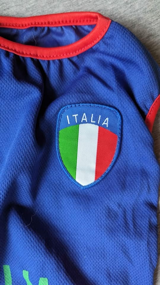 Italian Soccer Jersey for Small Dog - photo 3