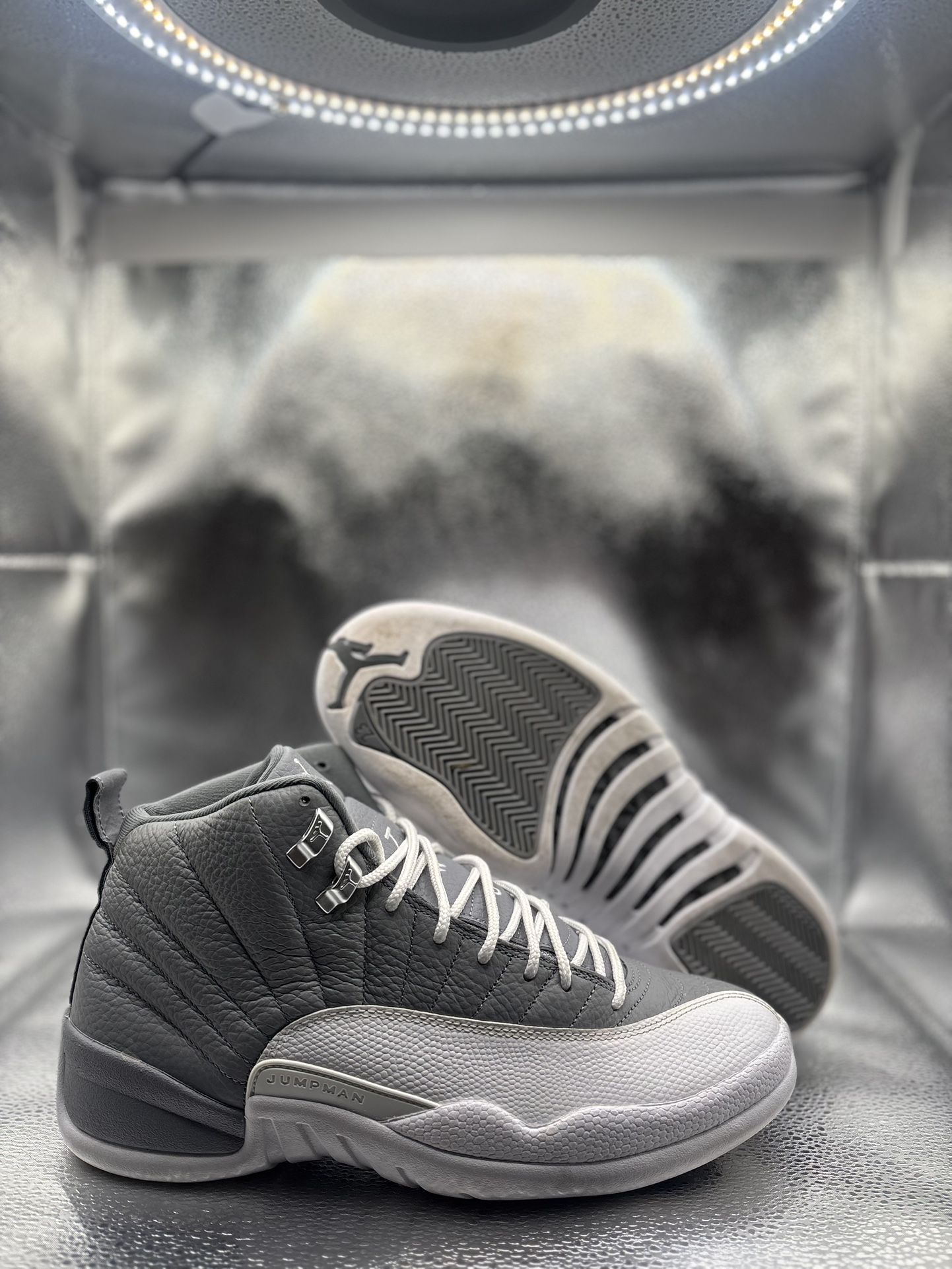 Air Jordan 12 Stealth