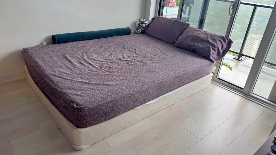 Queen Mattress, Protector, and Box Spring