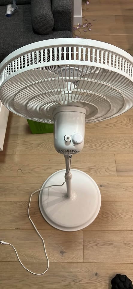 Fan - Moving sale - photo 2