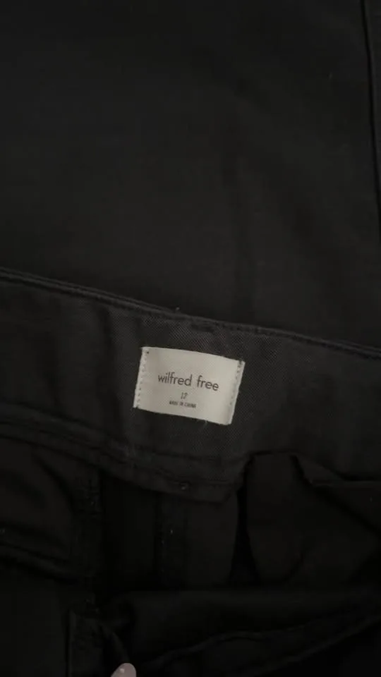 Aritzia Wilfred Free Black Cargo Picture Pants image indicator(4)