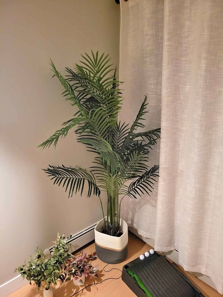 Artificial Indoor Plant