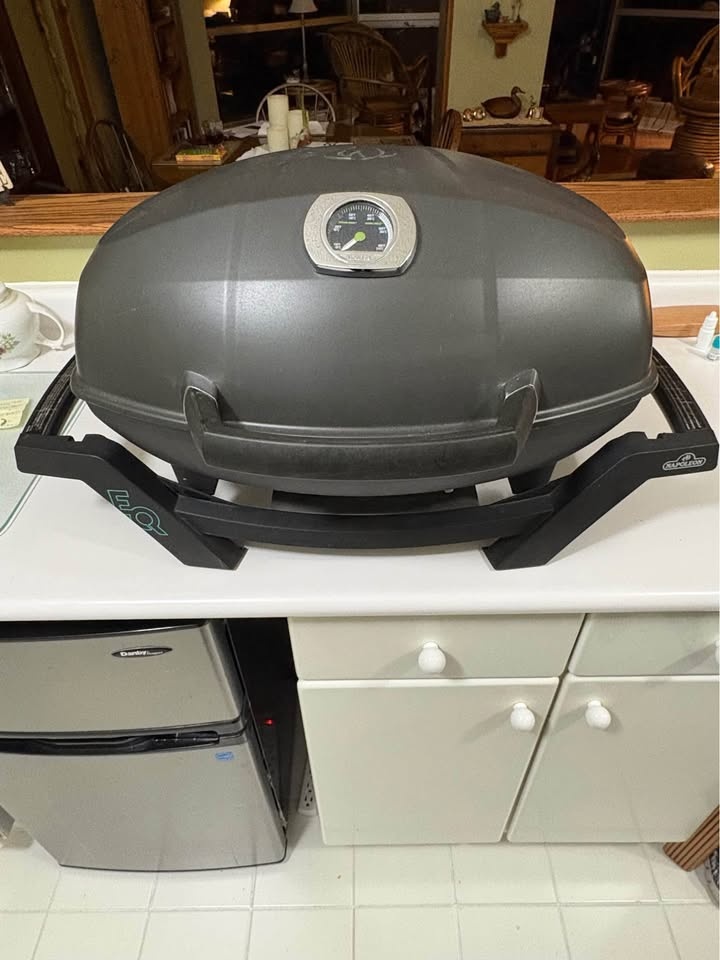 Napoleon TravelQ PRO285 Portable Electric BBQ Grill - photo 2