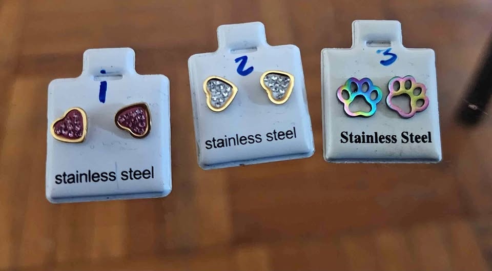 Stainless steel earrings