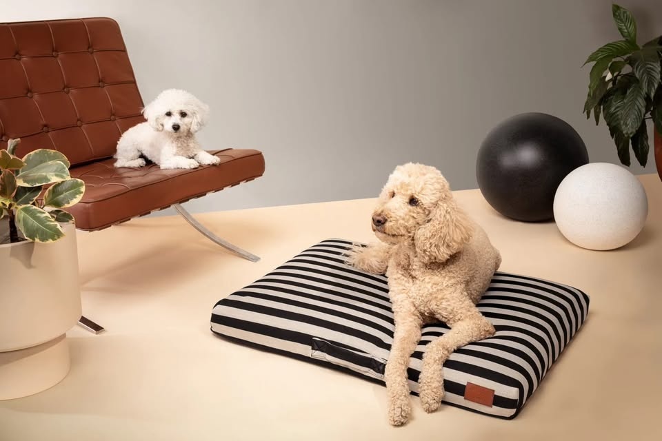 Orig $229 SOLD OUT *NEW* LAYLO MACHINE WASHABLE DOG/PET BED - photo 4