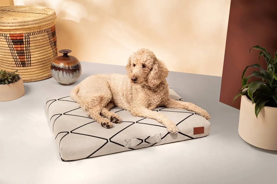 Orig $229 SOLD OUT *NEW* LAYLO MACHINE WASHABLE DOG/PET BED