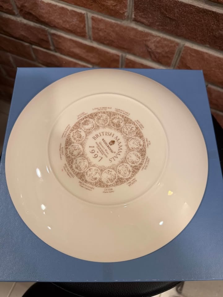Set of 2 Wedgwood & Staffordshire Decorative Plates - photo 4