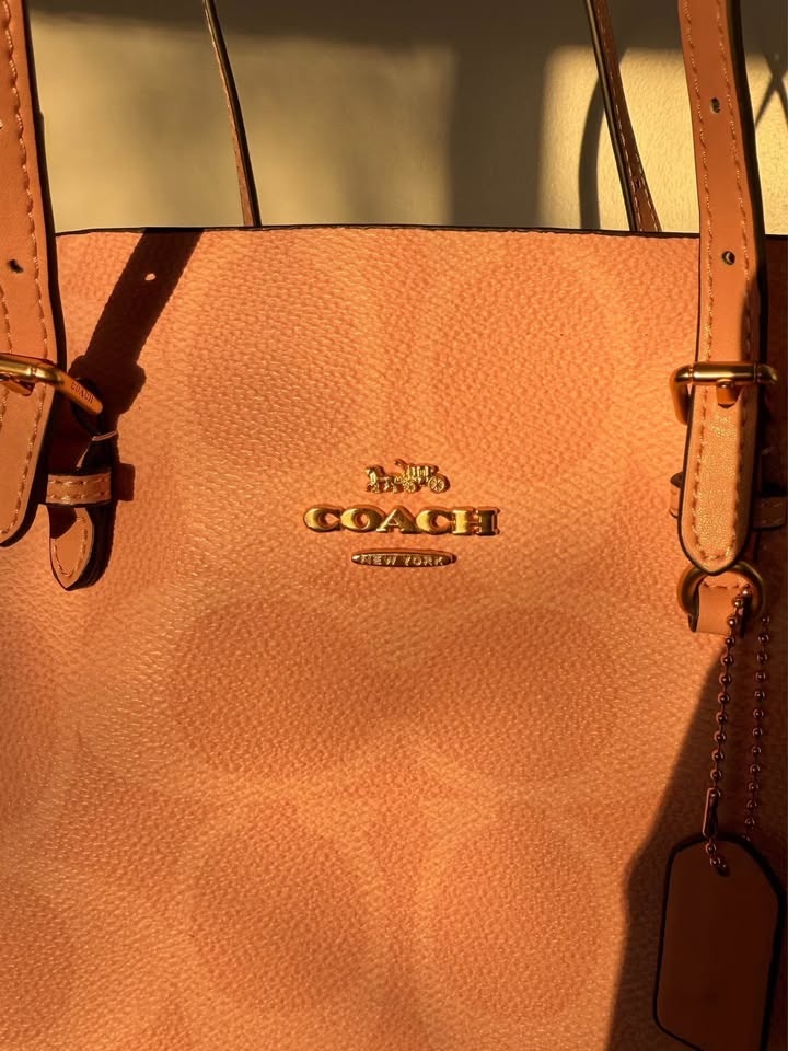 Coach Bag - Mollie Tote Bag 25 - photo 4