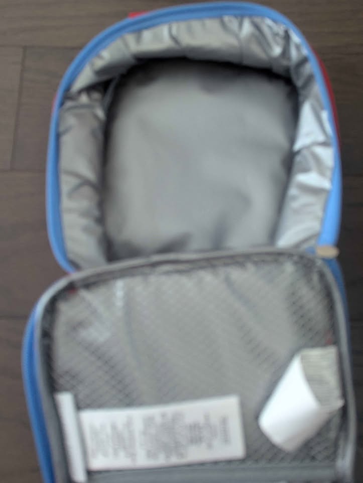 Pottery Barn Lunch/Snack bag - Firetruck - photo 2