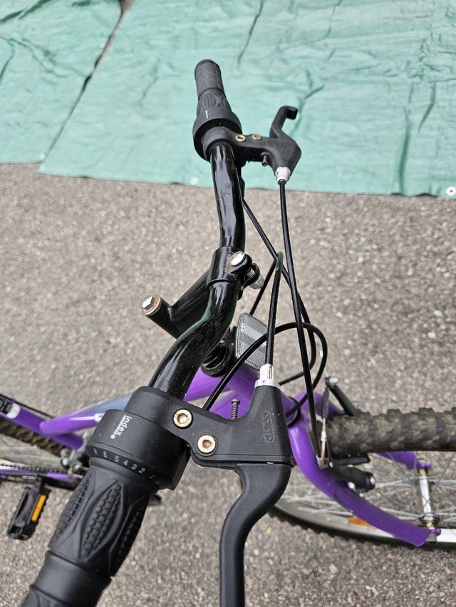 Supercycle Bike 17" frame 26" wheel - photo 5