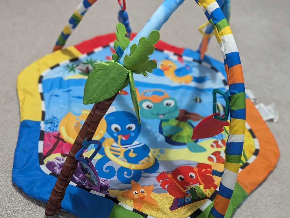 Baby Einstein Play Mat/Tummy time - photo 3
