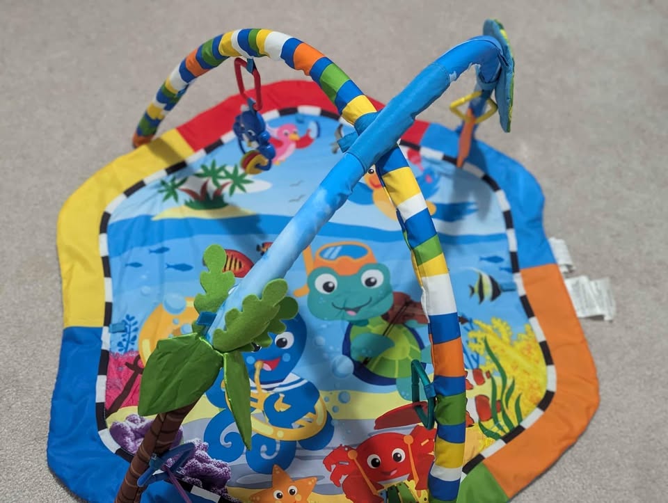 Baby Einstein Play Mat/Tummy time - photo 4