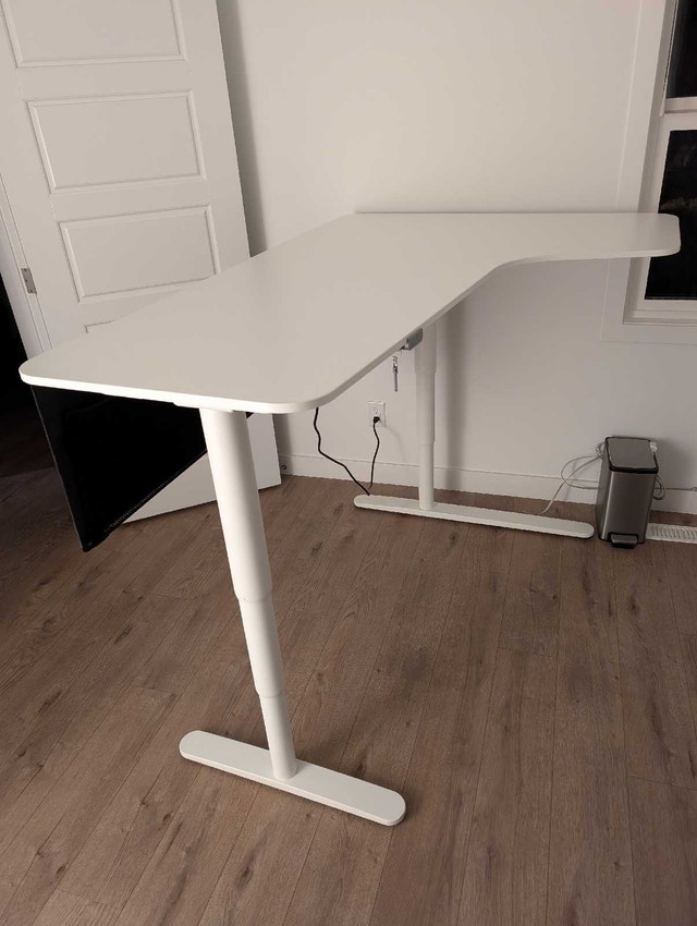 Electric L-shaped Standing Desk + Cable Management