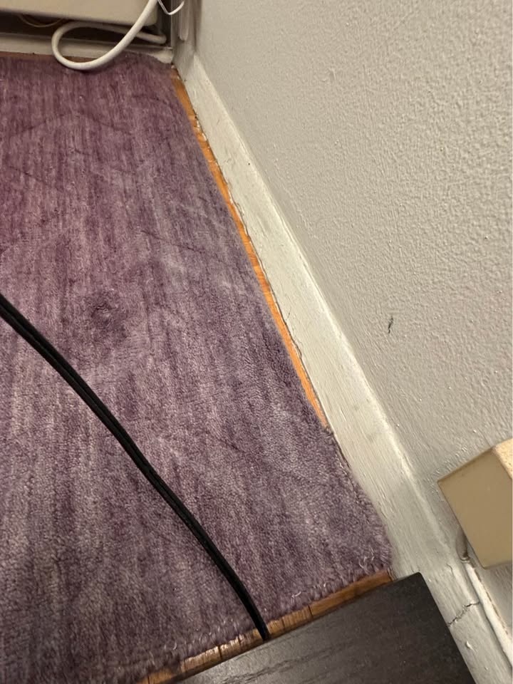 Purple Rug - photo 2