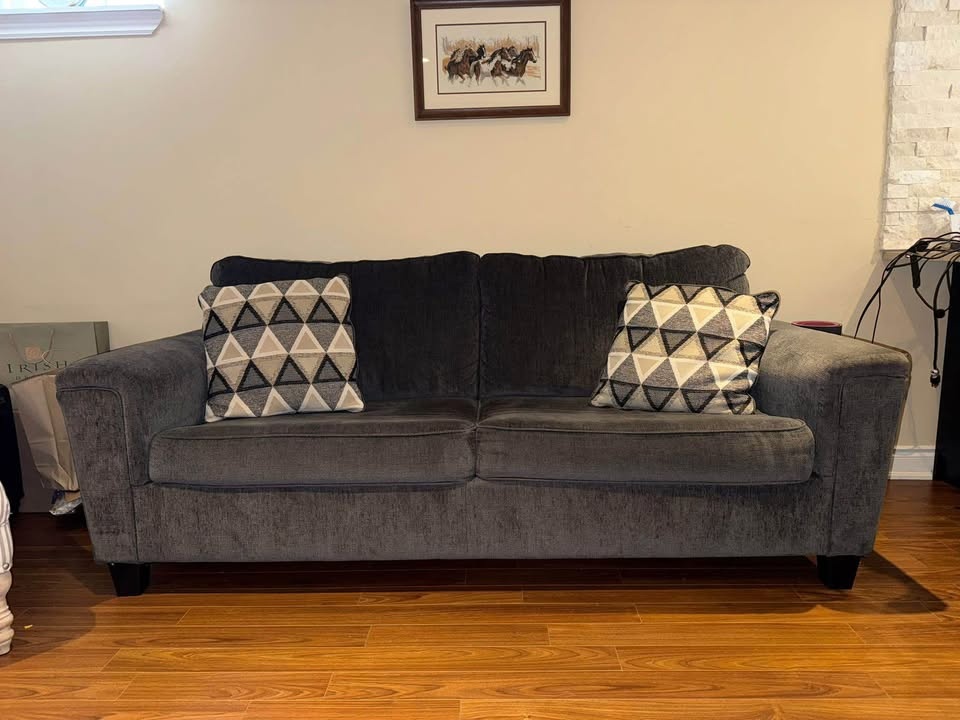 Ashlay Sofa Bed - Moving Sale