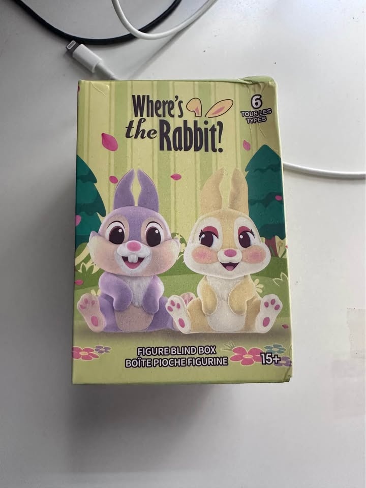 Where's the rabbit Blind Box (Judy, Open Box, Cash Only) - photo 2