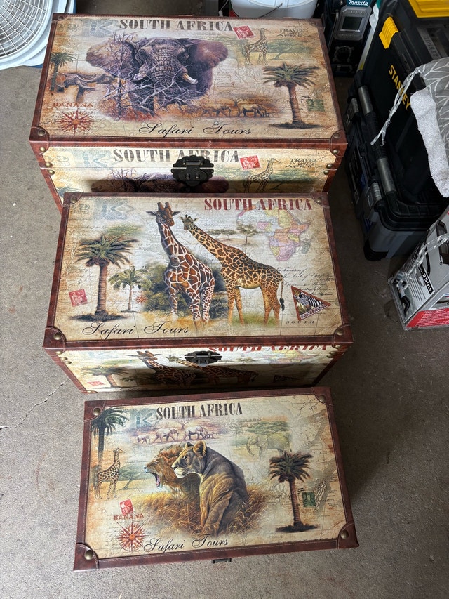 Safari Tour Trunks - Set of 3