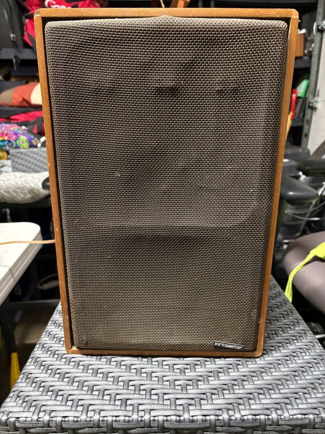 Kirksaeter Monitor 100 Speakers - photo 2