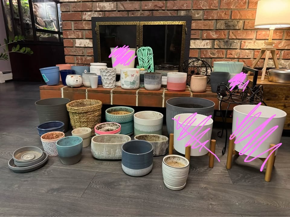Indoor Plant Pots