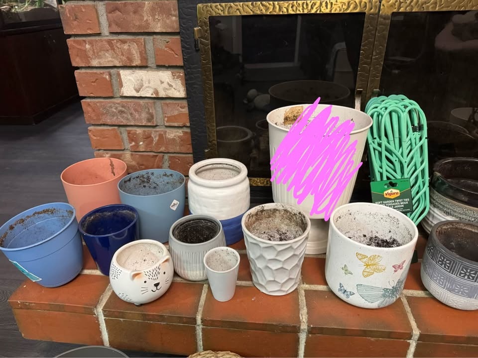 Indoor Plant Pots - photo 5