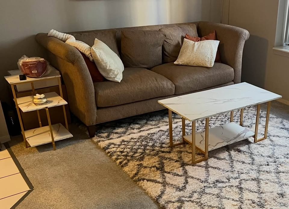 Beautiful Couch/Sofa