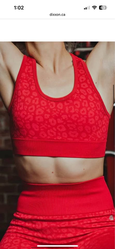 2 LG DIXXON SPORTS BRAS - NEW