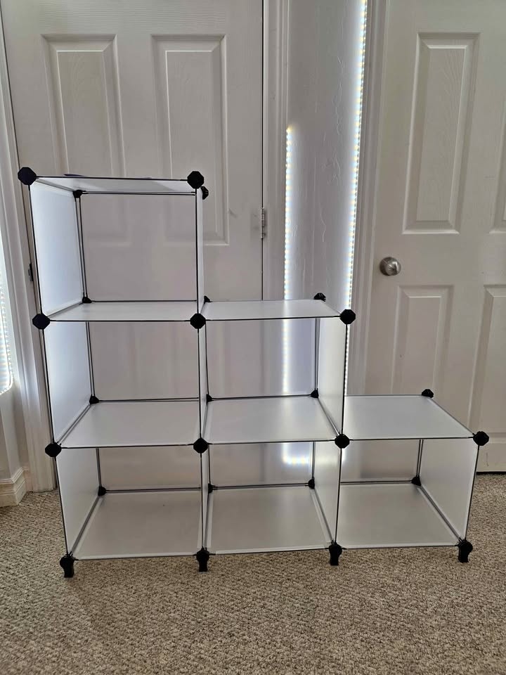 SONGMICS 6-Cube Storage Organizer (Black/White)