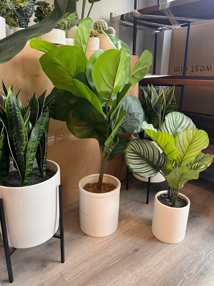 15-piece Assorted Faux House Plants - photo 2