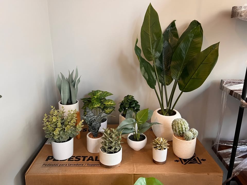 15-piece Assorted Faux House Plants - photo 4