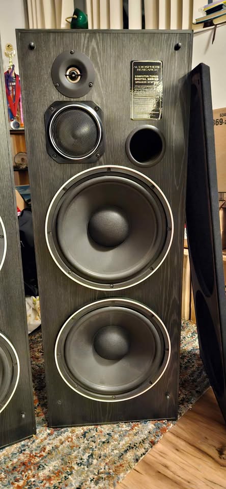 AudioSphere 800-D Tower Speakers - photo 5