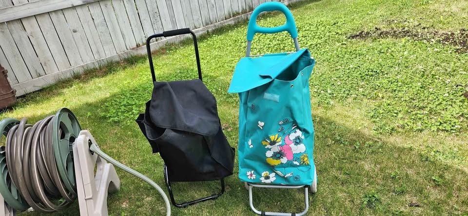 Foldable Shopping Carts