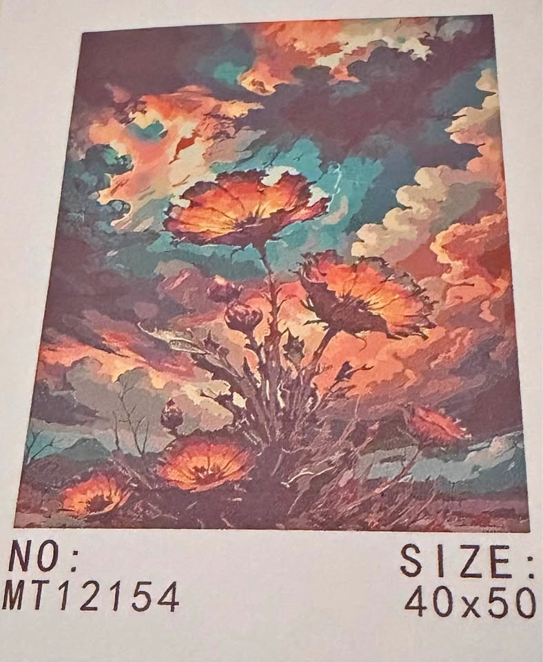 Paint by Number 40x50