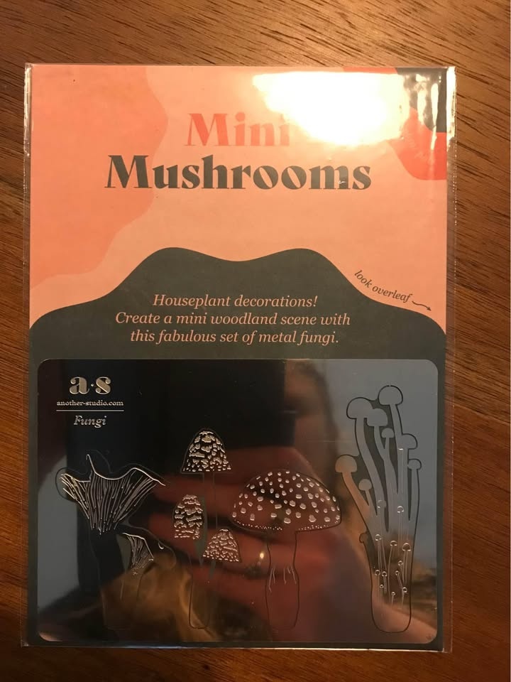 Metal Insect Bookmarks & Mushroom Houseplant Decorations - photo 3