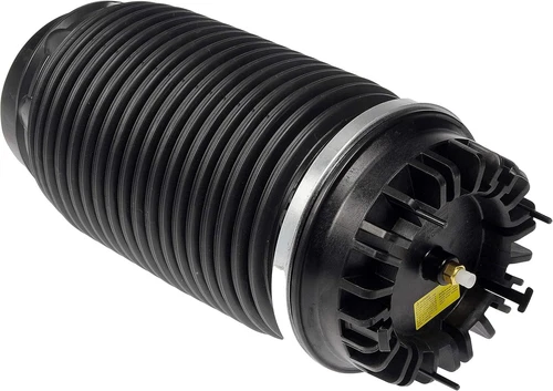 Dorman Rear Air Springs for Ram 1500 (2013-2019) - Set of 2