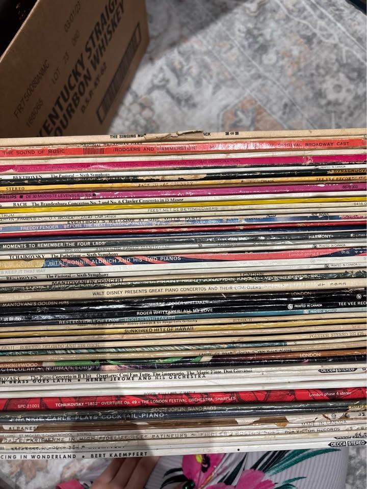 VINYL RECORD COLLECTION - photo 2