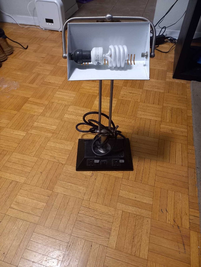 Desk Lamp