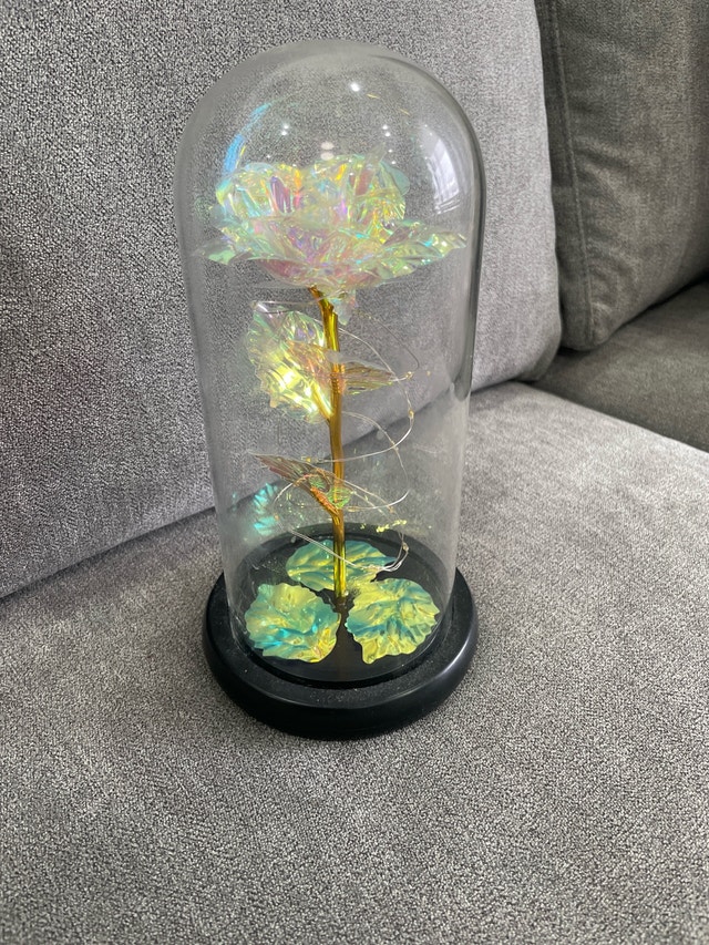 Rose in Glass Dome with LED Light