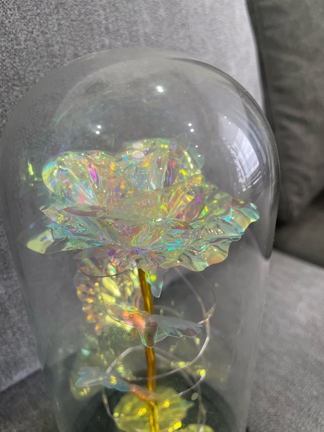Rose in Glass Dome with LED Light - photo 2