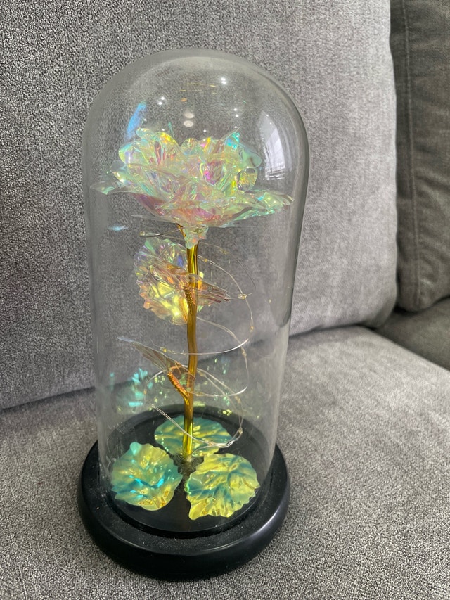 Rose in Glass Dome with LED Light - photo 3
