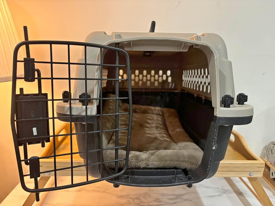 🥕 Pet Crate Small with crate mat