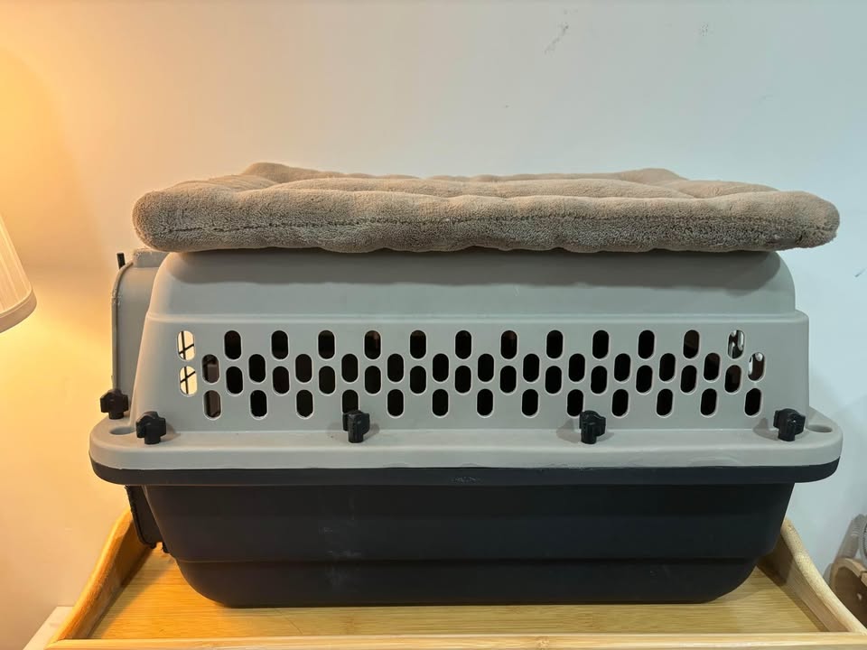 🥕 Pet Crate Small with crate mat - photo 2