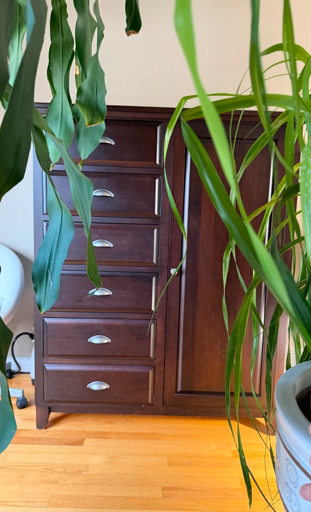 Wooden Wardrobe Cabinet with Drawers - Excellent Condition